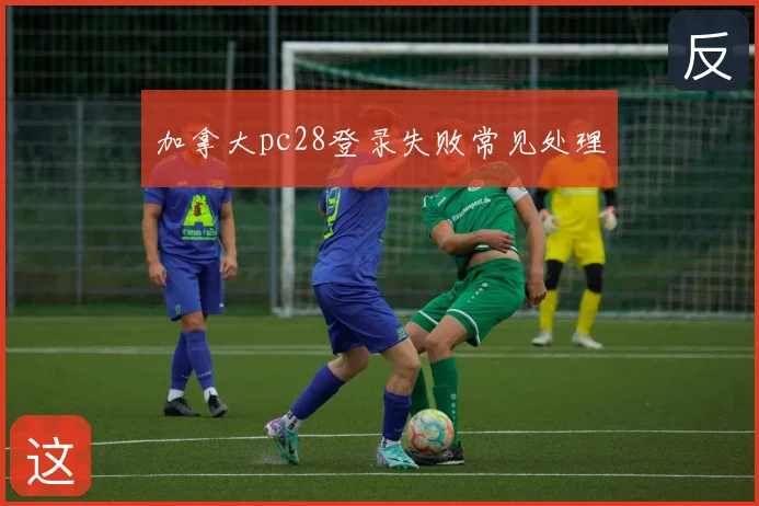 加拿大pc28登录失败常见处理